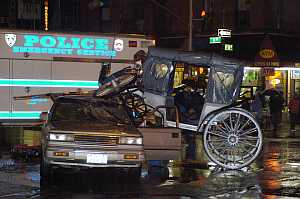 Horse & Carriage Accident - Photo by Catherine Nance